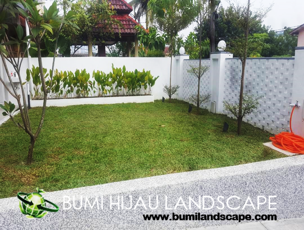 Trees and Shrubs Supply