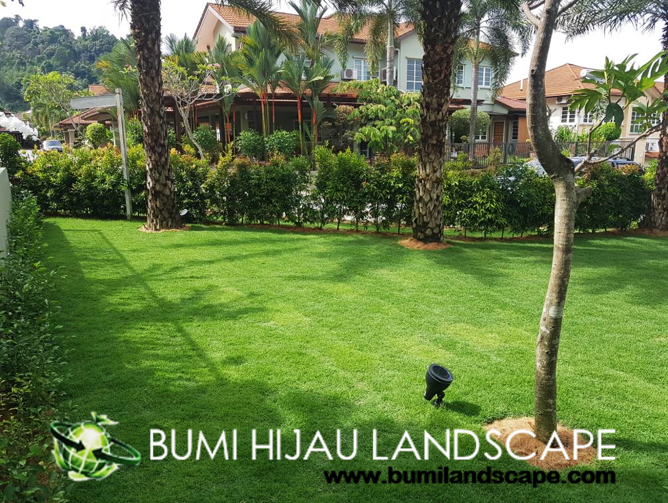 Landscaped Garden with Trees