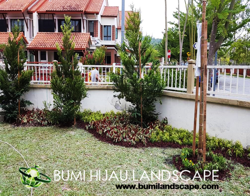 Garden with Shrubs