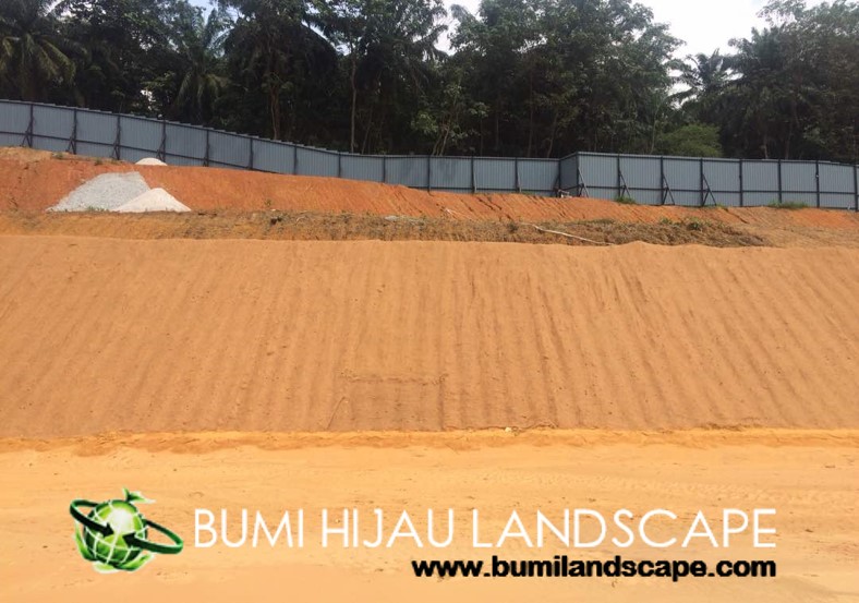 Hydroseeding Process