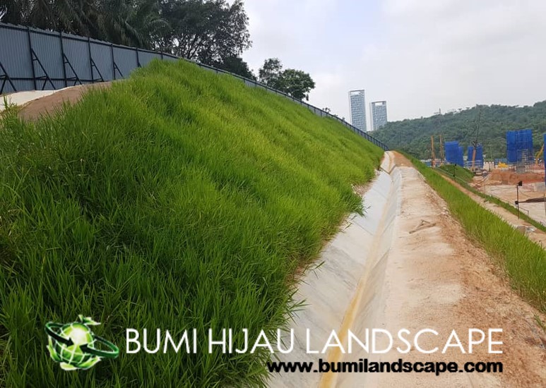Hydroseeding Application