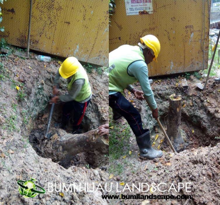 Stump Removing