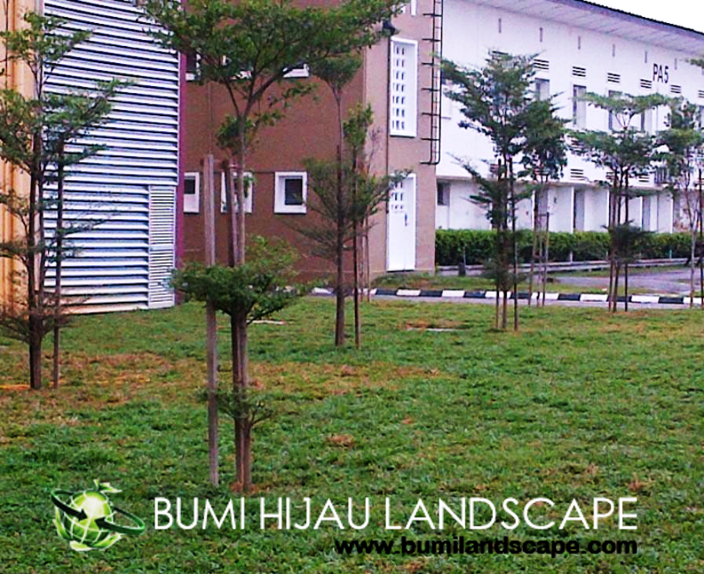 Landscape Project - UTM